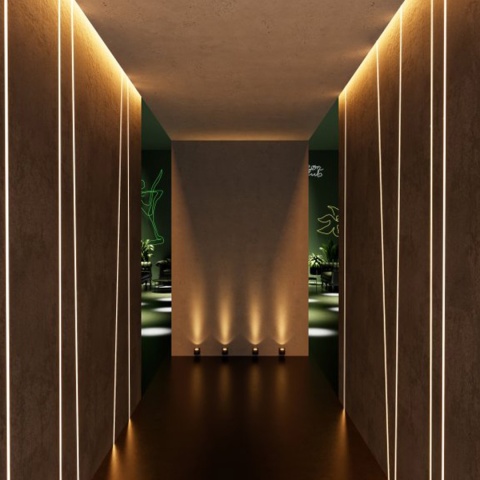 Lampa elewacyjna jednokierunkowa Kinkiet TIAGO inox GTV