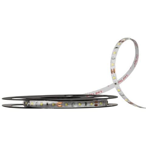 Taśma LED 2835-300 biały zimny 12V 5m IP20 GTV