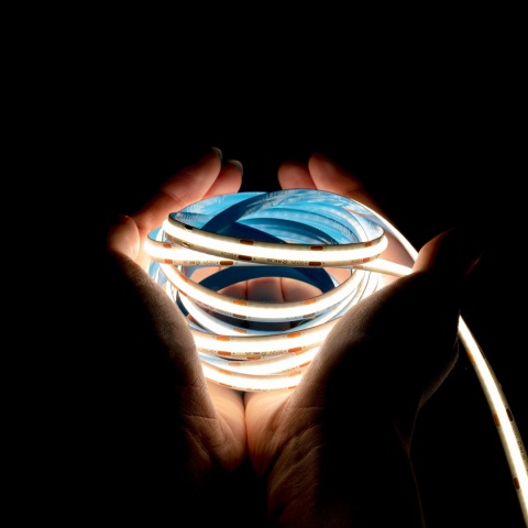 Taśma LED COB biały zimny 12V 12W 50m Bemko